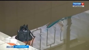 2019 057 Нормы строительства в зоне подтоплений