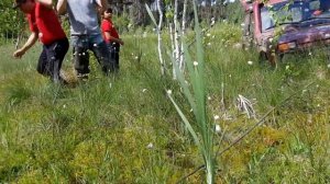 Часть Вторая.ЖЕСТЬ!!!Коварное болото!!!На Ниве по болоту, не каждый сможет!!! Жесткий оффроуд.