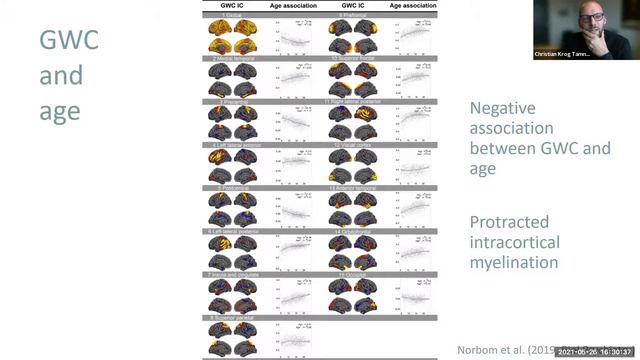 Prof Christian Krog Tamnes: Probing brain development using MRI signal intensities