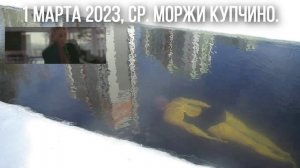 1 марта 2023 Ср 12-00 прорубь Купчино Иля и  Натали ныряют в прорубь.  День иммунитета