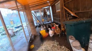 курятник зимний без вложений  обогрев курятника