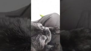 промывание носа физраствором