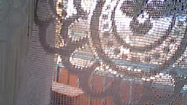 Видео c веб-камеры от 5 марта 2015 г., 10:16 (UTC) смотреть онлайн