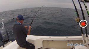 San Diego Fishing: All You Need to Know | FishingBooker