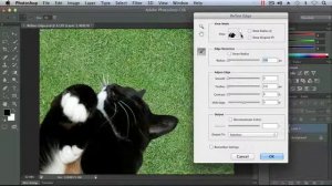 Using the Refine Edge Command - Adobe Photoshop CS6 Tutorial