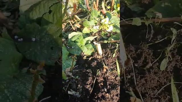 16 октября 2020 г. смотреть онлайн