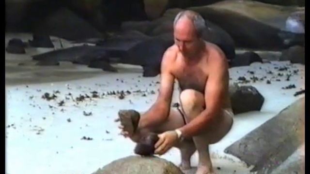 Мурманчаночка Вилли Токарев смотреть онлайн