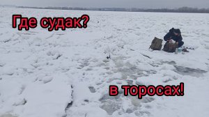Ловля судака зимой. Нашли его в торосах.