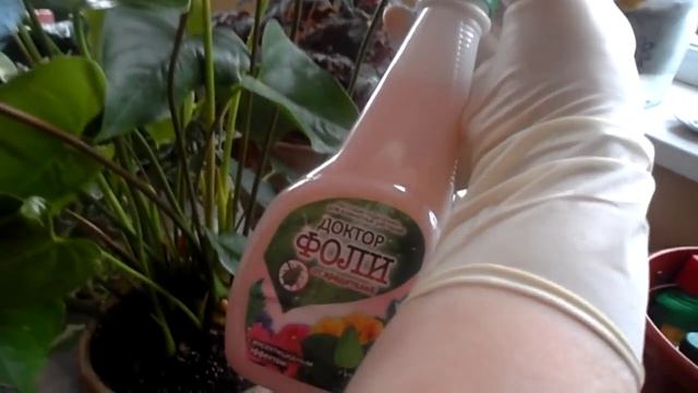 АНТУРИУМ, ПРОФИЛАКТИКА ЗАБОЛЕВАНИЙ смотреть онлайн