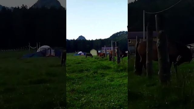 Лето в Аскате. Алтай 2021. ч1. Аскат, Анос, Поход на Луковку, солнце, ливень и туман..лошааадки? смотреть онлайн