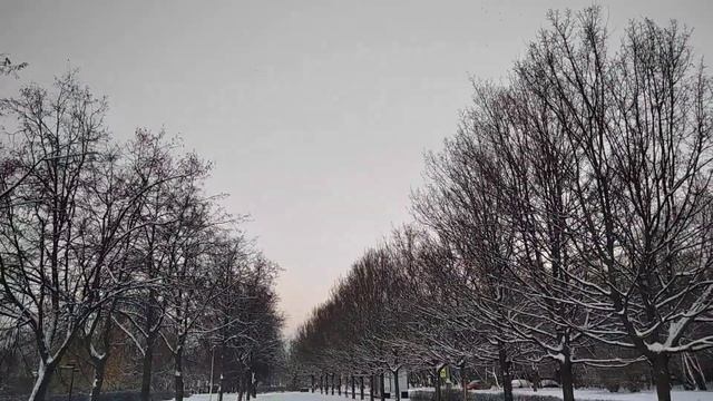 Ждите ☀️ волшебная сказка зимы 2022 год 16.11 22... смотреть онлайн