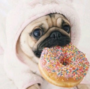 приветик я снежка и сестра Нара