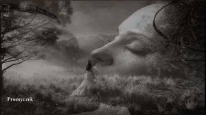 "Schiller mit Peter Heppner-Leben - I Feel You"