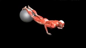 Отжимание ногами на фитболе Stability Ball Pushup Legs on Ball