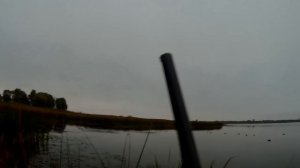 ОХОТА НА УТОК с новыми чучелами. Охота с манком на большей воде