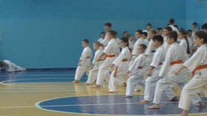 Дети сдают экзамен на пояс. Каратэ киокушинкай. Таня Костенко (8 лет)