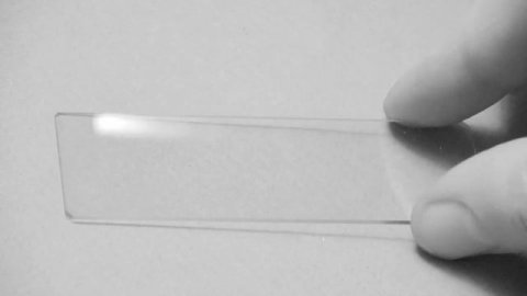 Как смотреть в микроскоп