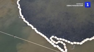 На Сахалине набирает обороты мойвенная путина