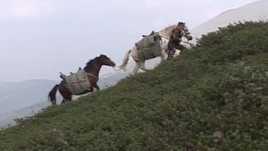 Заповедник