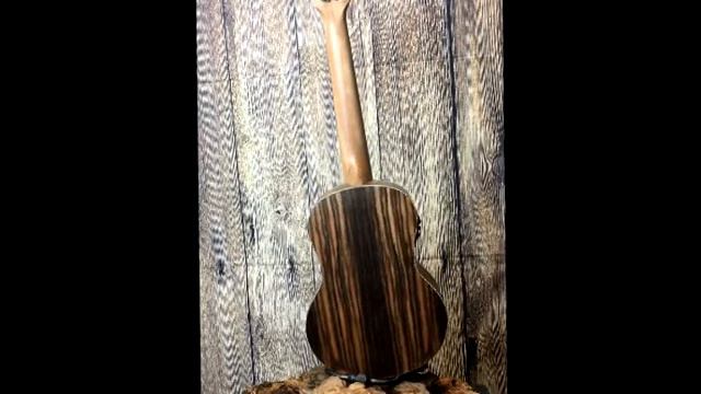 Snail UKT E598EQ Electro Tenor Ebony Ukulele смотреть онлайн