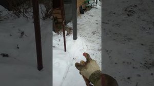 Бетонирование столбов для навеса