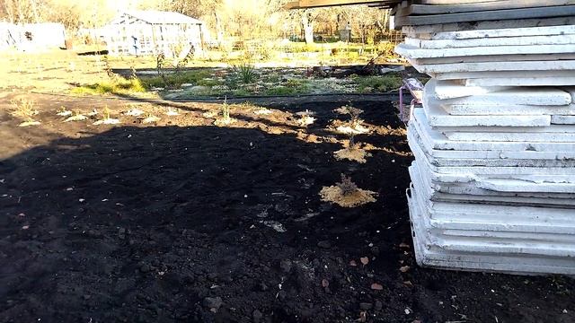 Осенние работы 1-2 ноября 2021 Про дачу 58 смотреть онлайн