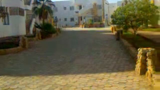 Гардения плаза ресорт Египет шарм 2012.3gp смотреть онлайн