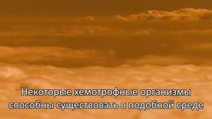 На Венере могла сохраниться жизнь: новости космоса сегодня, исследование Венеры, жизнь на Венере