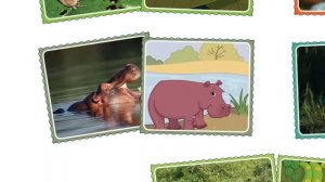 Unit 2 Lesson 2 Read-Aloud: Classifying Animals Based on Characteristics