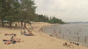 «Специальный репортаж». Почему «цветёт» вода в Волге  14.07.2022