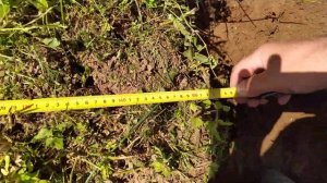 Вспашка. Плуг ПЦ-1-18+МБ1 Мультиагро. Неудачный дубль. Plowing with a plow.