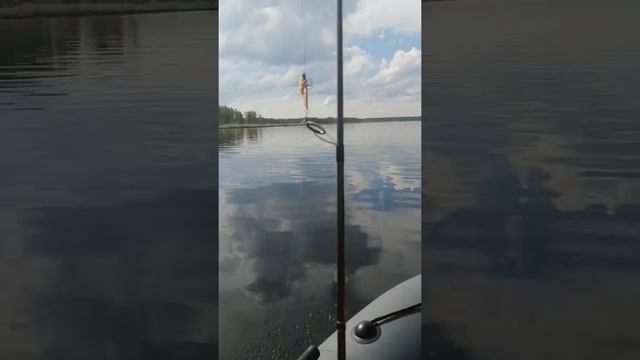 Таймень Nx 3200 нднд + TOHATSU 9.8 смотреть онлайн