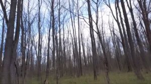 Поиск древности | Коп по скифам