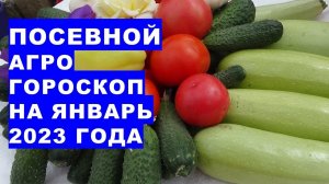 Посевной агрогороскоп на январь 2023 года Посівний агрогороскоп на січень 2023 року