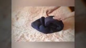 Складываем дубленки и свитера быстро и легко!