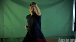 Кусочек из видео о Штурмине - ката Сэн-Э