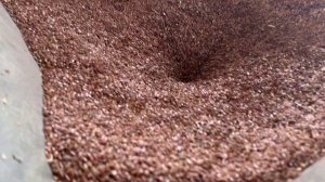 Шнековый пресс для масличных культур ПХПП-200. Процесс переработки льна. Пресс холодного прессовани