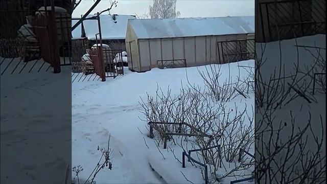 Дачный туалет без запаха и откачки, своими руками. DIY Toilet. Часть 2 . Теплый дачный туалет.