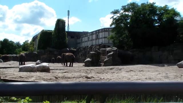 Tierpark Berlin: Elephants. Зоопарк Берлин: Слоны смотреть онлайн