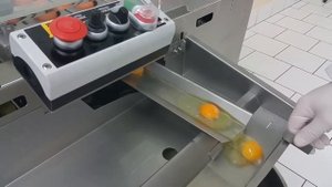 Машина для разбивания яиц RZ-3 Ovo Tech