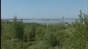 ДОЛИ-ШЕЛИ ("Уксус-Бэнд")