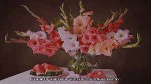 Как сохранить букет гладиолусов дольше: добавки в воду, уход за букетом. Когда и как правильно сре.