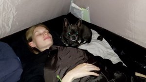 с палаткой и собакой на море