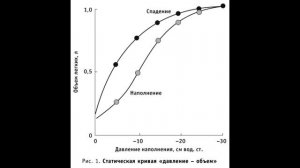 Физиология дыхания часть1. Лекции для студентов медицинских колледжей #лекциианатомия #дистант #егэ