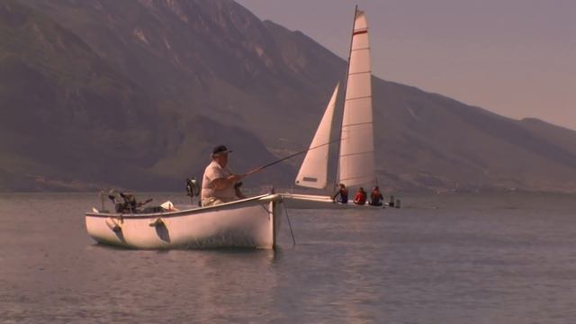 Звери. Пингвины. смотреть онлайн