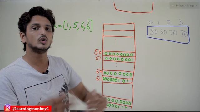 Memory Allocation to List in Python || Lesson 22 || Python || Learning Monkey ||