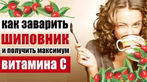 Как правильно заварить шиповник, чтобы сохранить витамин С
