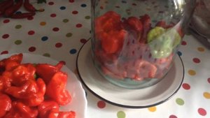 Как посолить горький перец на зиму