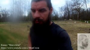 Сравнение электропастуха и сетки-рабицы.