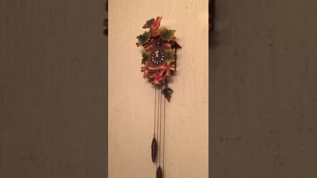 Black forest cuckoo clock